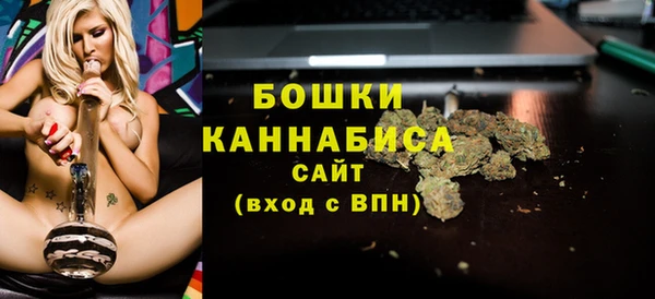 PSILOCYBIN Богородицк
