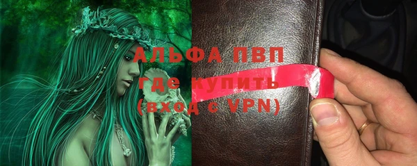PSILOCYBIN Богородицк